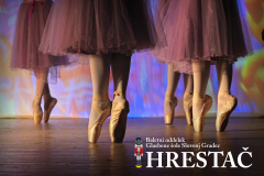Baletna predstava Hrestač, 13.12.2018