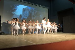 Baletna predstava Labodje jezero, 4.6.2019
